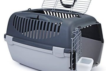 Die richtige Wahl einer Katzentransportbox