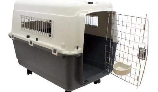 Was ist beim Kauf einer Transportbox für Katzen zu beachten?