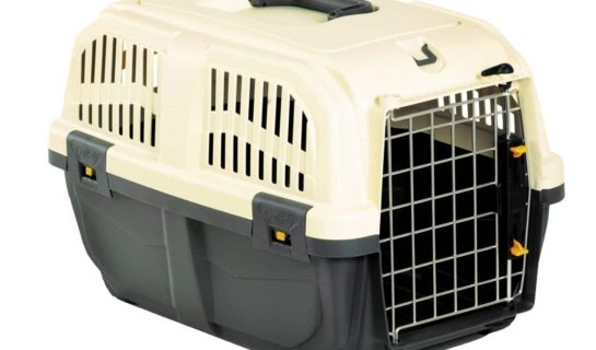 Infos zur Nobby Transportbox Skudo 3 IATA für Katzen