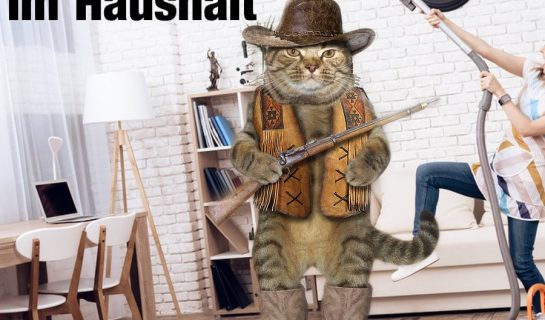 Gefahren im Haushalt für Katzen – Jetzt Gefahrenquellen abstellen