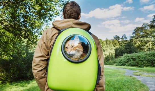 Katzenrucksack für den Transport von Katzen