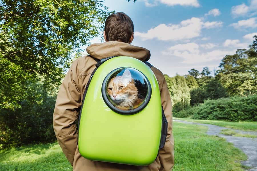 Tragbare Müllsack Aufbewahrungsbox Haustier Hund Katze Beutel