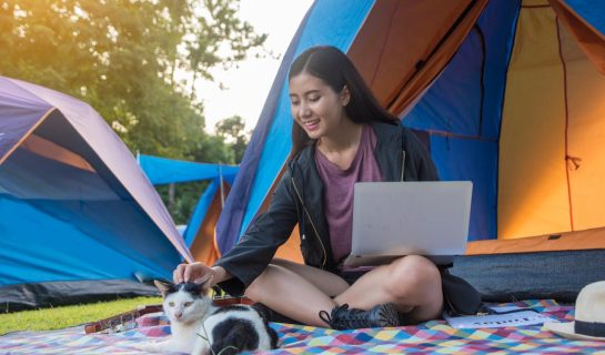 Camping mit der Katze