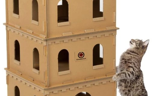Katzenhäuser aus Pappe