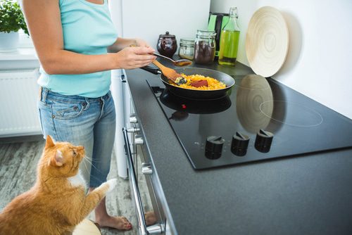 Küchenherd katzensicher machen