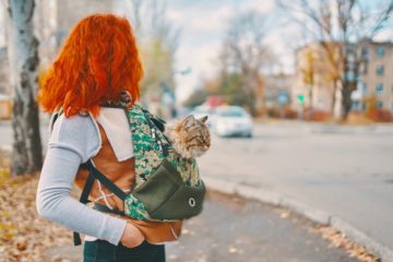 Sling Carrier für den Transport von Katzen