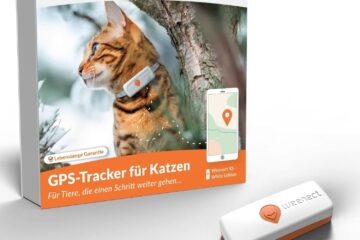 Mit Katze in den Urlaub: Sorgenfrei reisen mit GPS Tracker